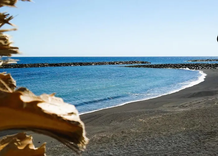 Terraza Al Mar